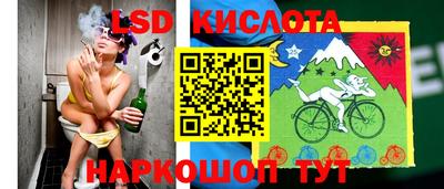 сатива Кимры