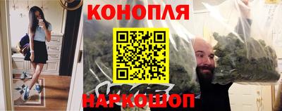 сатива Кимры