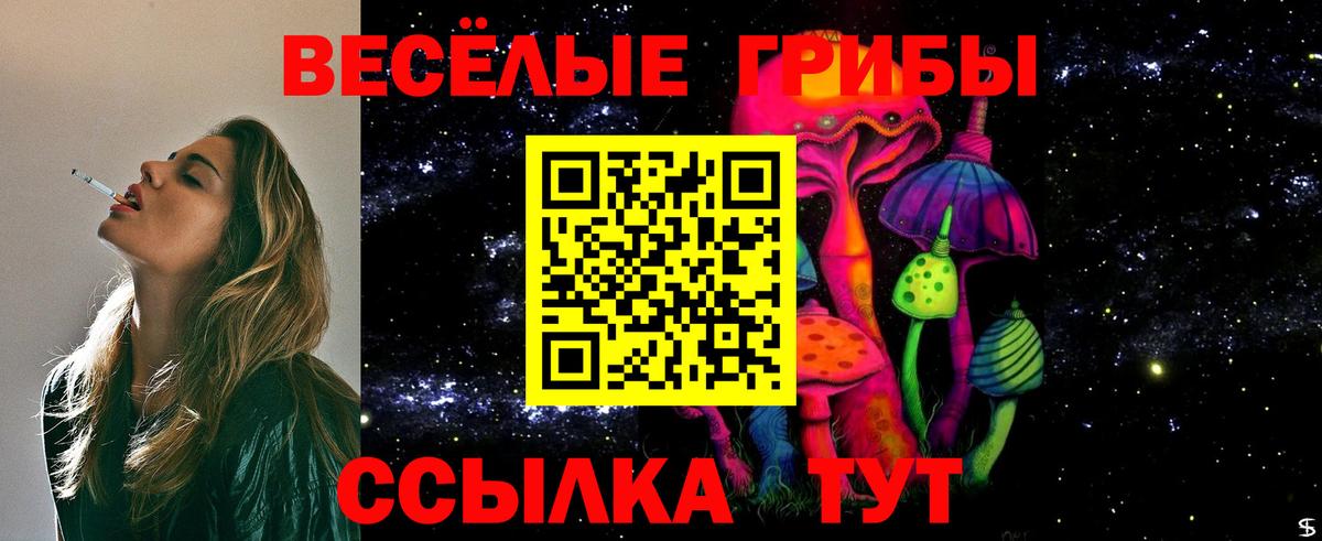 Усть-Лабинск  Галлюциногенные грибы прущие грибы  Вход с VPN 